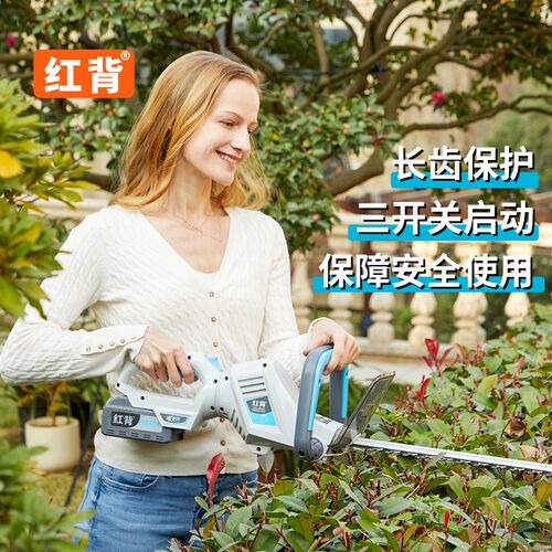 红背锂电绿篱机电动无刷绿篱修剪机充电式修枝剪绿化园林修枝机