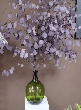 小口大肚瓶花器北欧吊钟马醉木鲜切花花卉手工水培落地透玻璃花瓶