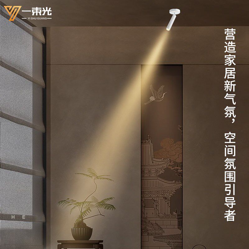 一束光聚光射灯小角度智能明装茶台挂画摆件盆栽植物艺术氛围装饰