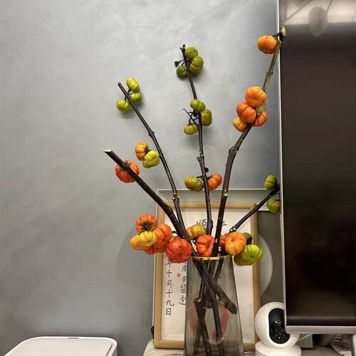 小南瓜鲜花小南瓜鲜切枝观赏小南瓜干花新鲜迷你水培可做干花装饰