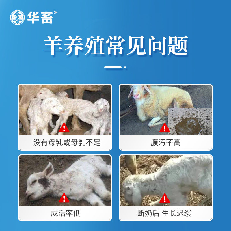 华畜羔羊开口料断奶小羊全价料饲料小羊专用料羊羔饲料养殖场专用