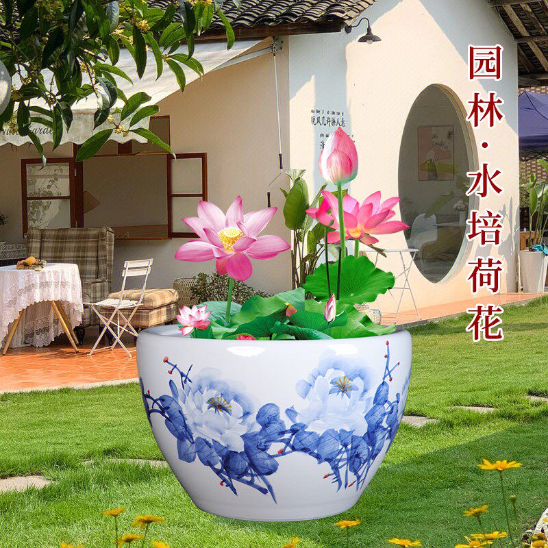 景德镇手绘青花瓷陶瓷金鱼缸客厅养乌龟睡莲盆荷花缸庭院室外水缸