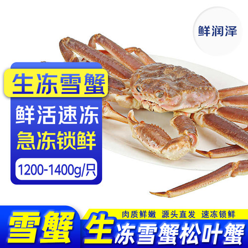 鲜润泽生冻板蟹雪蟹松叶蟹鳕蟹