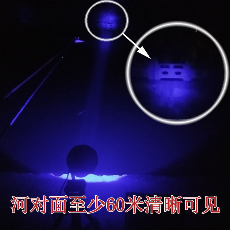外接12V蓝光灯头 60W钓鱼灯 LED大功率夜钓灯分体钓灯P70灯珠聚光