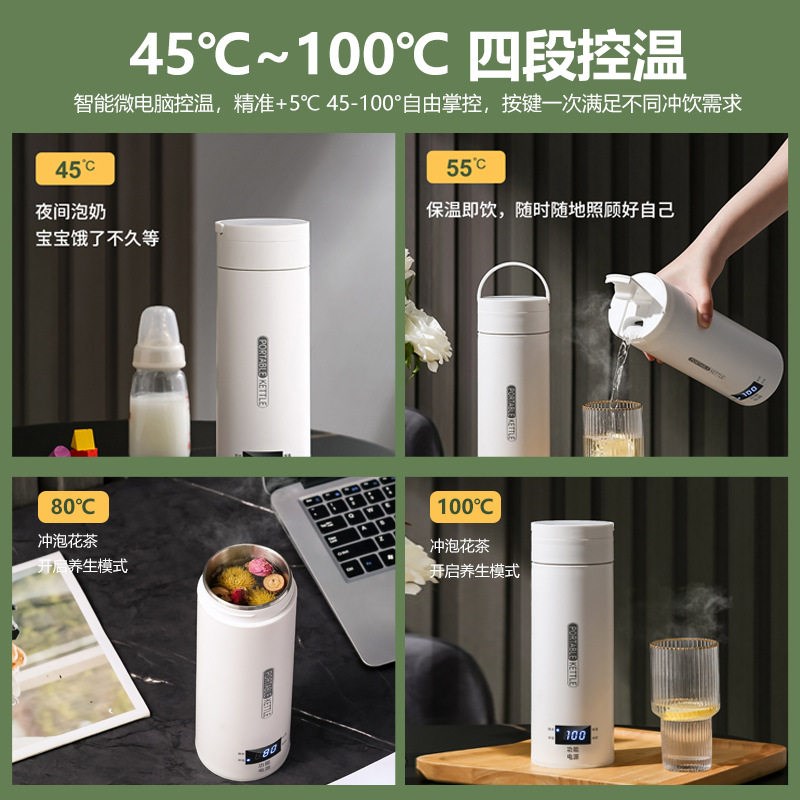 跨境110V美规英规便携式电热水杯小型电热杯烧水壶台湾香港