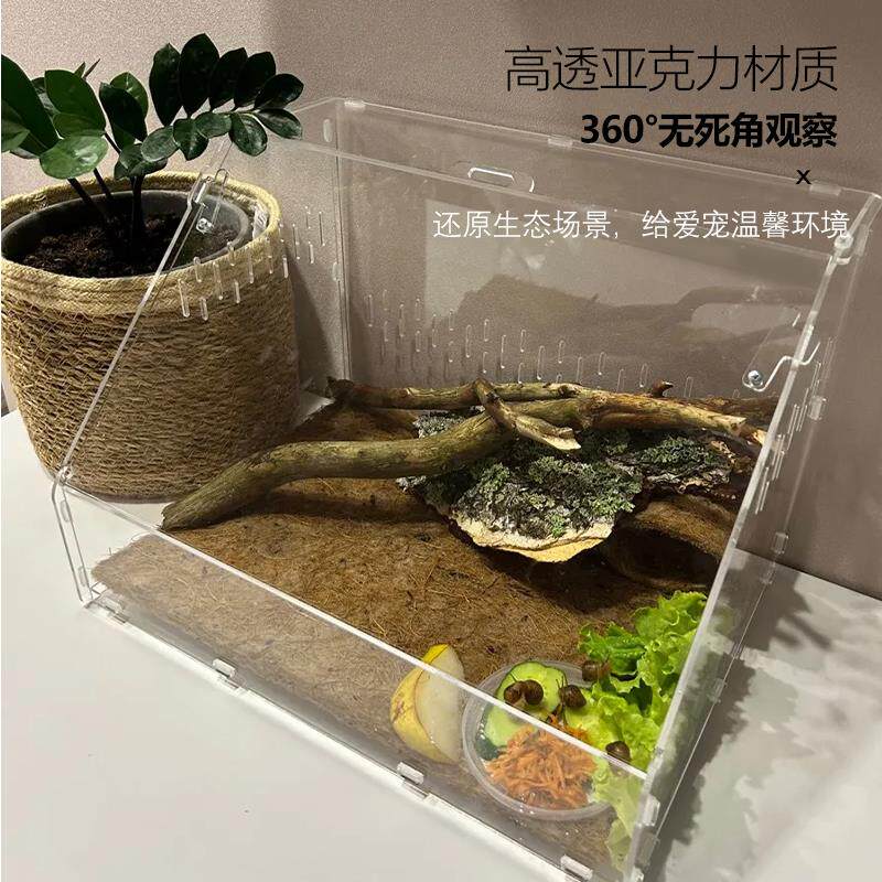 爬宠亚克力饲养盒爬虫宠物守宫箱蜗牛蜥蜴角蛙蛇蜘蛛生态螳螂缸