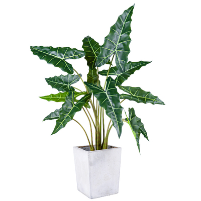 太真了!萨利安海芋仿真树绿植仿生假树植物盆栽室内客厅装饰摆件