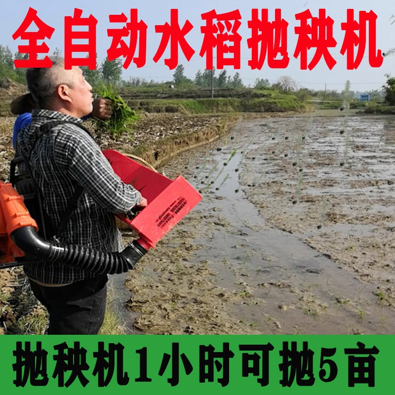 电动水稻抛秧播种器全自动小型水稻插秧机抛秧盘农村农用家用稻田