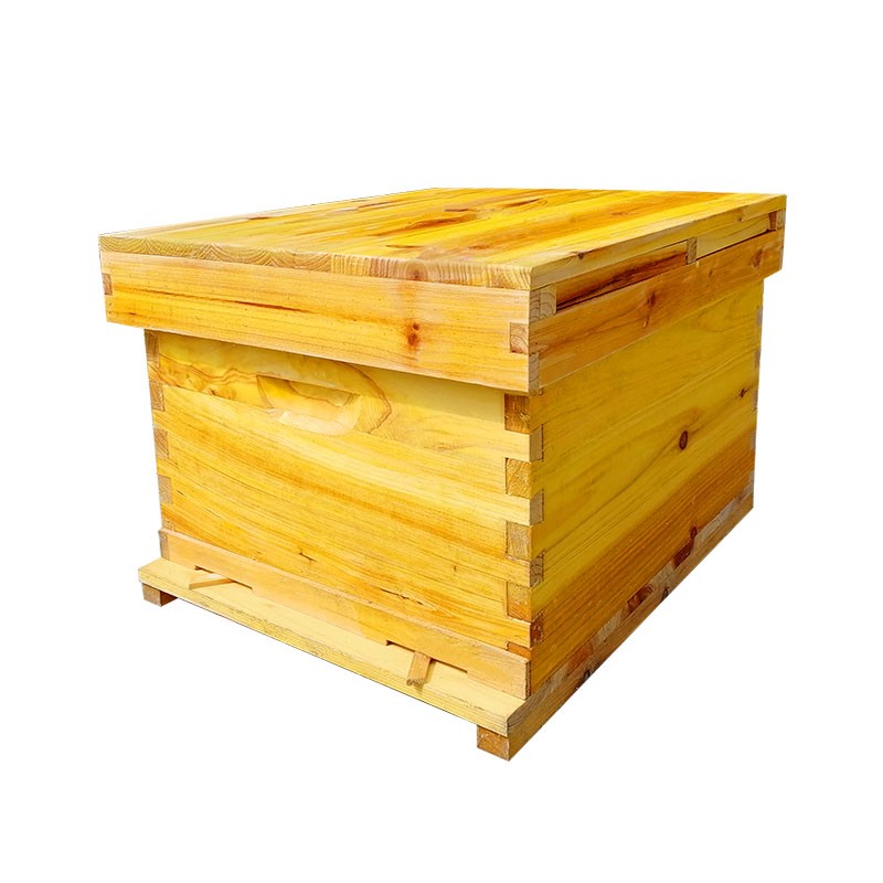 煮蜡全杉木抛光烘干七框中蜂蜂箱意蜂蜂箱七框底箱养蜂工具