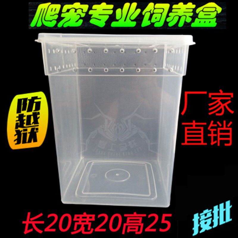 爬虫爬宠蜘蛛守宫蜥蜴蝎子蜈蚣角蛙龟蜗牛饲养盒宠物蛇饲养箱包邮