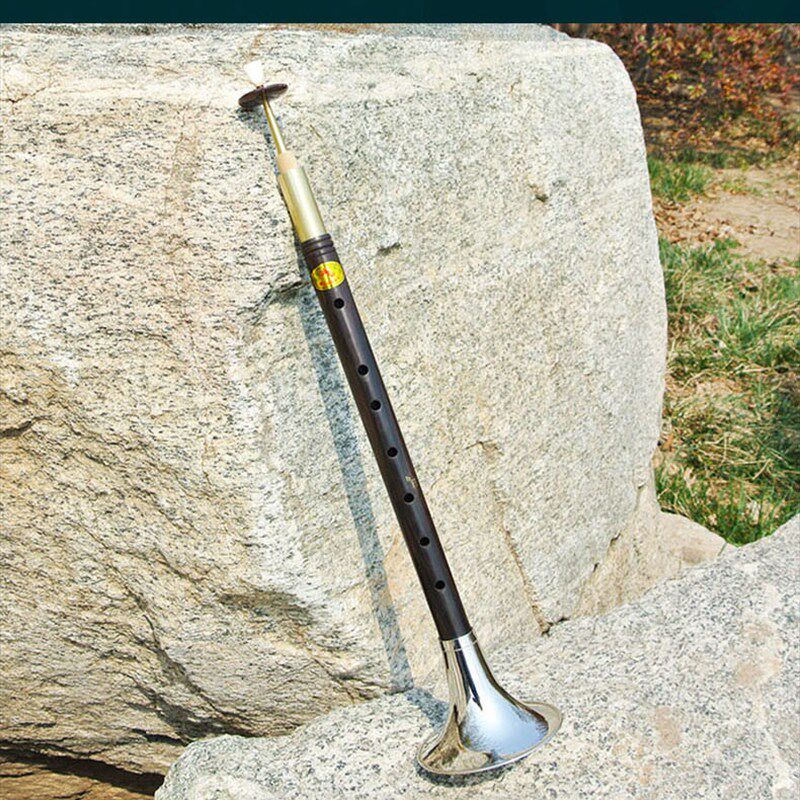 闷笛乐器河南戏曲初学者乌木材质专业民间闷笛唢呐黄铜碗降E降BDC