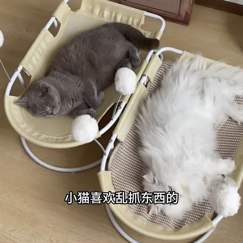 宠物行军床夏季透气猫吊床可拆洗离地防潮猫窝猫床小型犬狗床狗窝