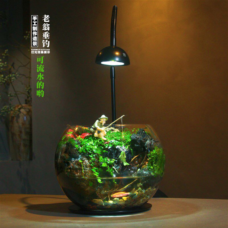 【团团圆圆】玻璃生态瓶室内桌面迷你水陆苔藓微景观造景绿植盆栽