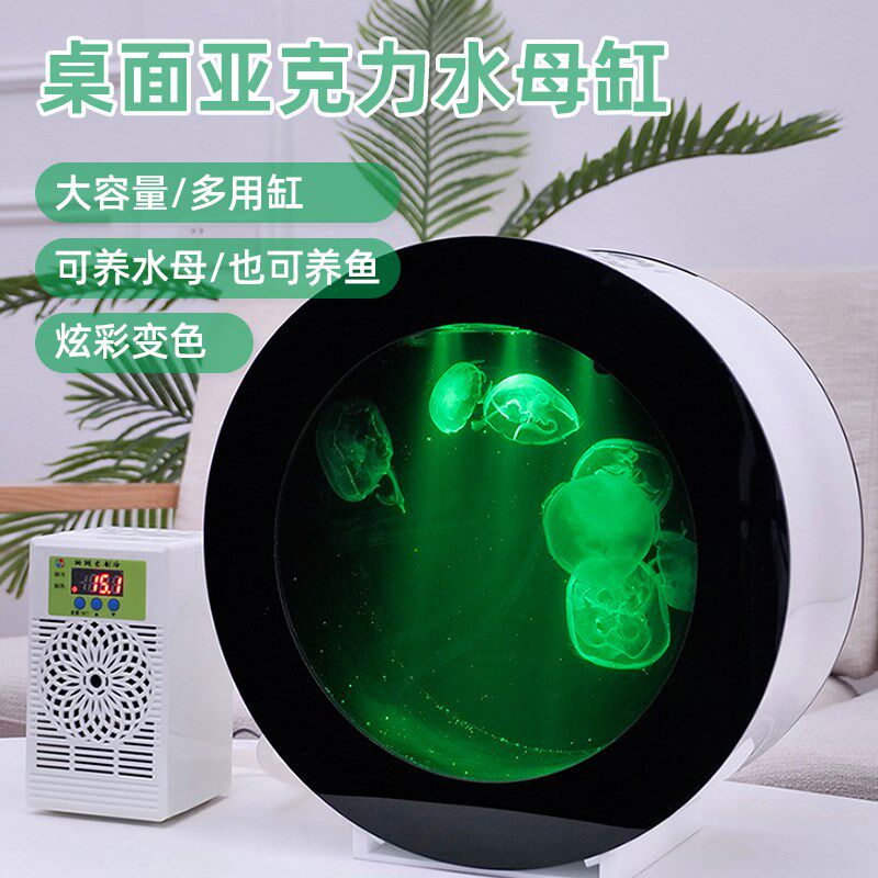 创意鱼缸桌面圆形小型水母专用缸小丑鱼观赏海水缸水母缸套餐