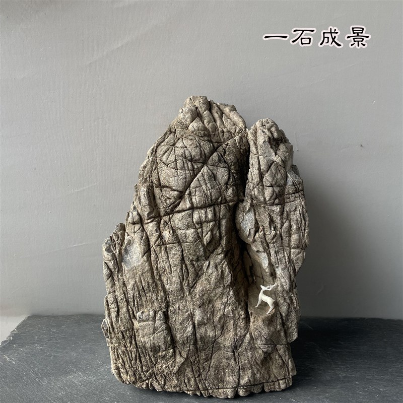 大块龟纹石天然原石鱼缸造景石山水盆景石庭院阳台装饰园艺假山石
