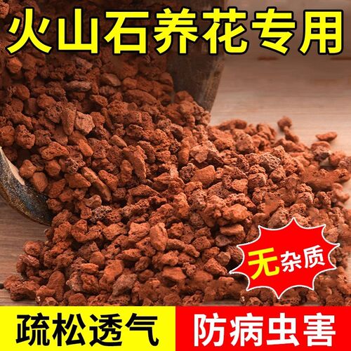 火山石颗粒养花专用多肉家用兰花专用土透气火山岩盆栽造景铺面石