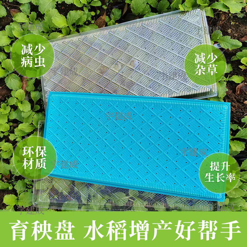 新款水稻育秧盘稻谷育苗盘7寸 9寸塑料机插育苗盘机插平底盘软盘