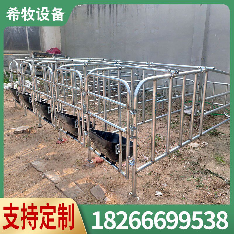 母猪定位栏限位栏产保一体产床落地式带漏粪板可定制猪场养殖设备