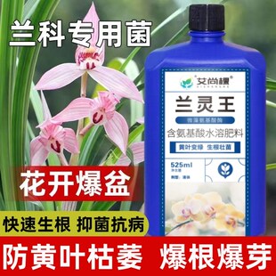 兰灵王兰花爆根液蝴蝶兰君子兰花专用营养液生根促芽根腐黄叶克星