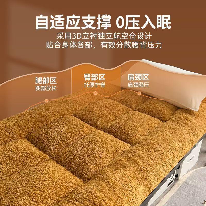 加厚保暖羊羔绒暖冬季床垫学生款宿舍双人榻榻米床褥子可折叠垫被