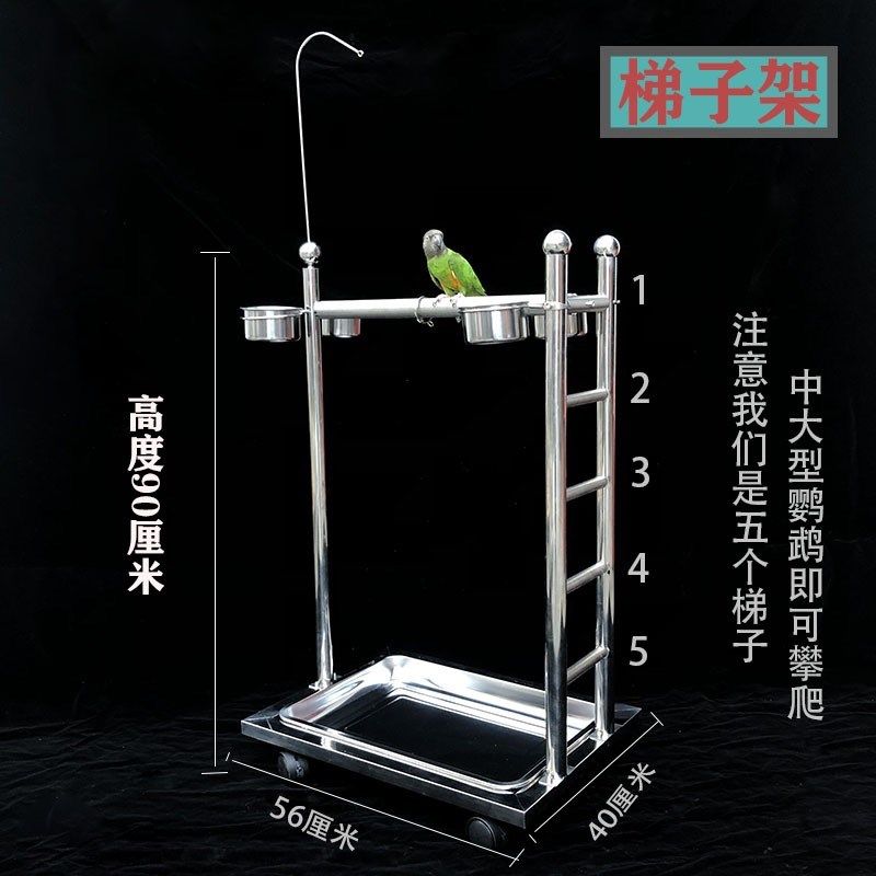 鹦鹉鸟类宠物鸟站架不锈钢不锈钢梯子架大型鸟站架繁殖户饲养架子
