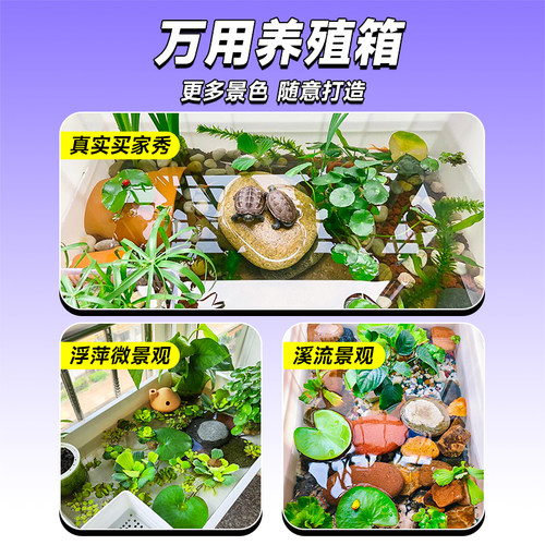 乌龟缸大乌龟饲养缸专用缸养龟箱周转箱大型龟缸鱼龟混养家用养殖