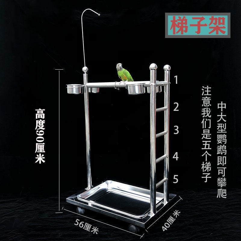 鹦鹉不锈钢站架梯子架磨砂站杆加厚不锈钢中大型鹦鹉站架厂家直销