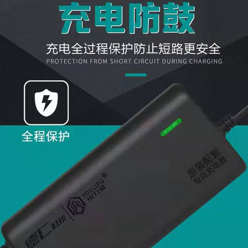电动车电瓶充电器48V60V72V12AH20AH30AH32AH40AH50AH优力普通用