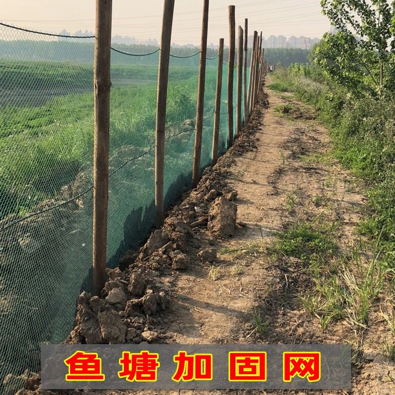 定做拉网拖网渔网网箱清塘网隔断网鱼苗网养殖围栏网抬网鱼网片