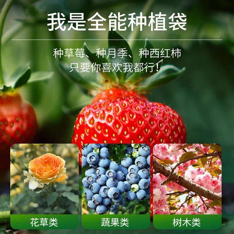美植袋加厚耐用不织布种植袋植树袋阳台栽树移栽育苗盆家庭种植盆