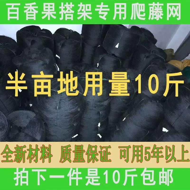 罗汉果棚网百香果搭棚网搭架专用爬藤网棚架子网攀爬网沃柑网瓜果