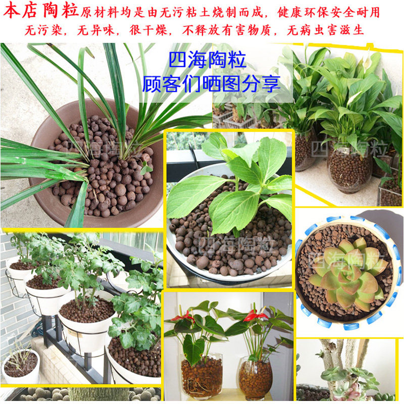 大包装陶粒!5包花池垫底陶粒花箱花槽花园垫底绿化种树疏水透气