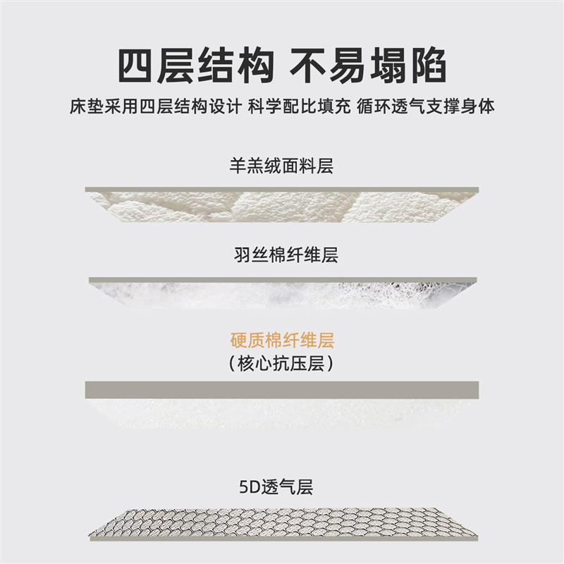2025新款5D硬质棉羊羔绒床垫软垫榻榻米床垫子180x200垫子冬加厚
