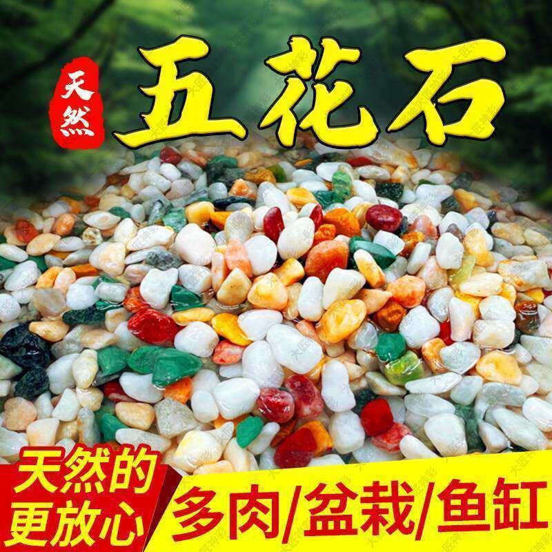天然雨花石五彩石鱼缸造景底部砂石盆栽多肉铺面石鹅卵石装饰摆件