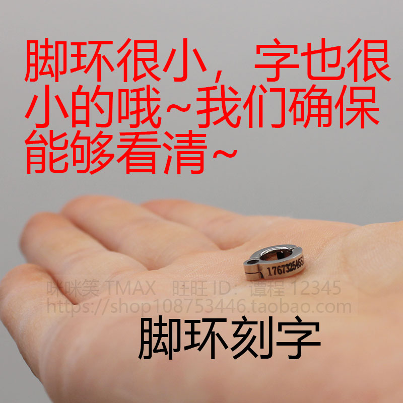 鹦鹉鸟脚环定制刻字304不锈钢开口脚环活扣连接牵引链子绳子/玄凤