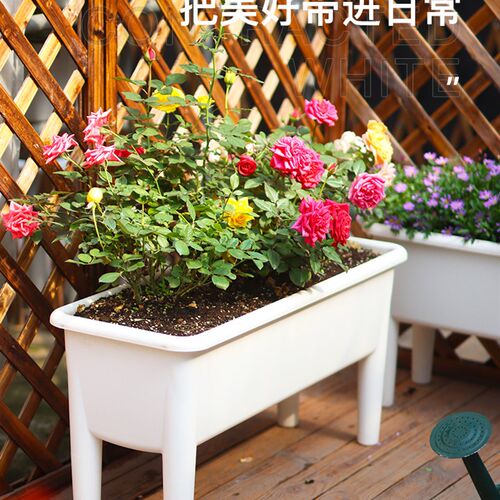 30cm宽阳台加长方形盆种菜盆室内大号花盆种菜专用箱蔬菜种植箱