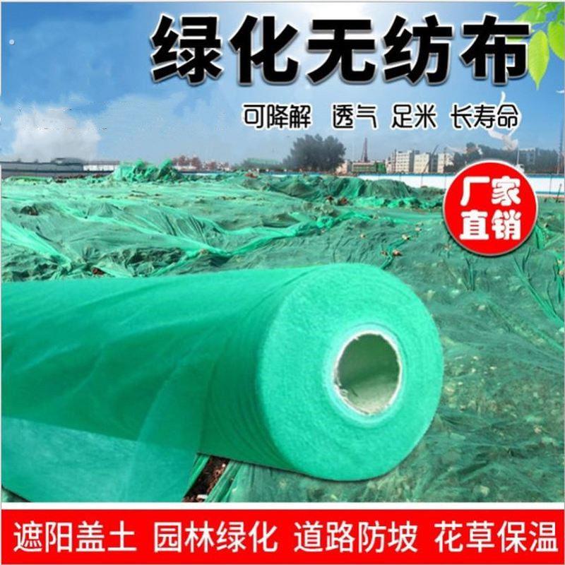 草籽覆盖膜工程绿网绿色草皮网绿化防尘膜植草苗盖土的布种草种膜