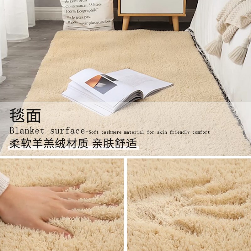 羊羔绒毛地毯卧室客厅飘窗垫房间床边毯满铺可爱家用脚垫进门地垫