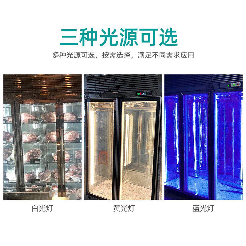 牛肉熟成柜干式湿式排酸柜商用鱼肉牛排柜智能恒温保鲜冷藏展示柜
