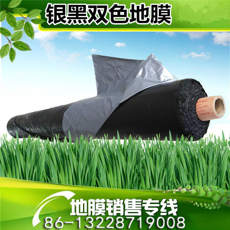 防草保湿农用绿色生姜地膜大姜专用膜番茄辣椒蔬菜保温塑料薄膜