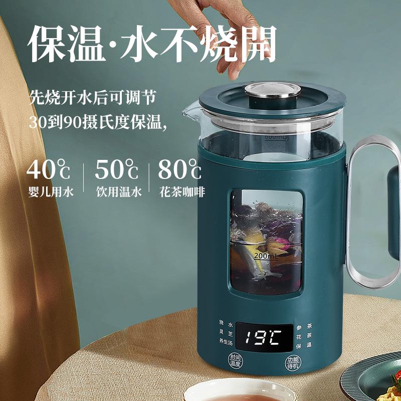 纯钛养生壶小型多功能烧水壶办公室全自动电热水壶炖煮迷你电水壶