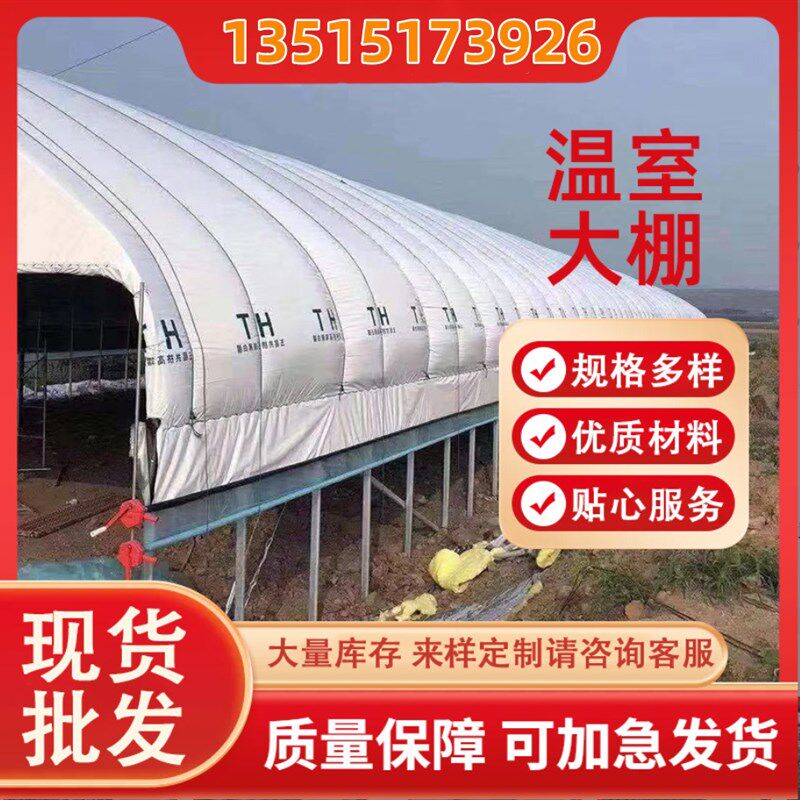蔬菜大棚遮阳大棚连体薄膜骨架蔬菜养殖花卉育苗连栋温室智能温室