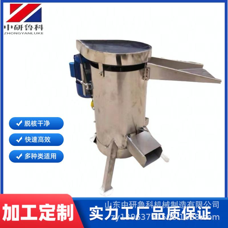 枇杷自动去核机 油桃芒果红枣脱核机 不锈钢大型商用去核打浆机