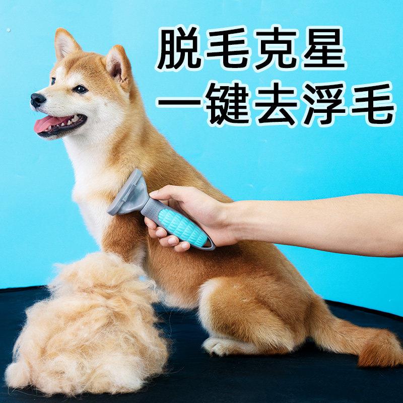 宠物去浮毛刷 柴犬柯基中小型犬专用梳子 梳毛美容工具组