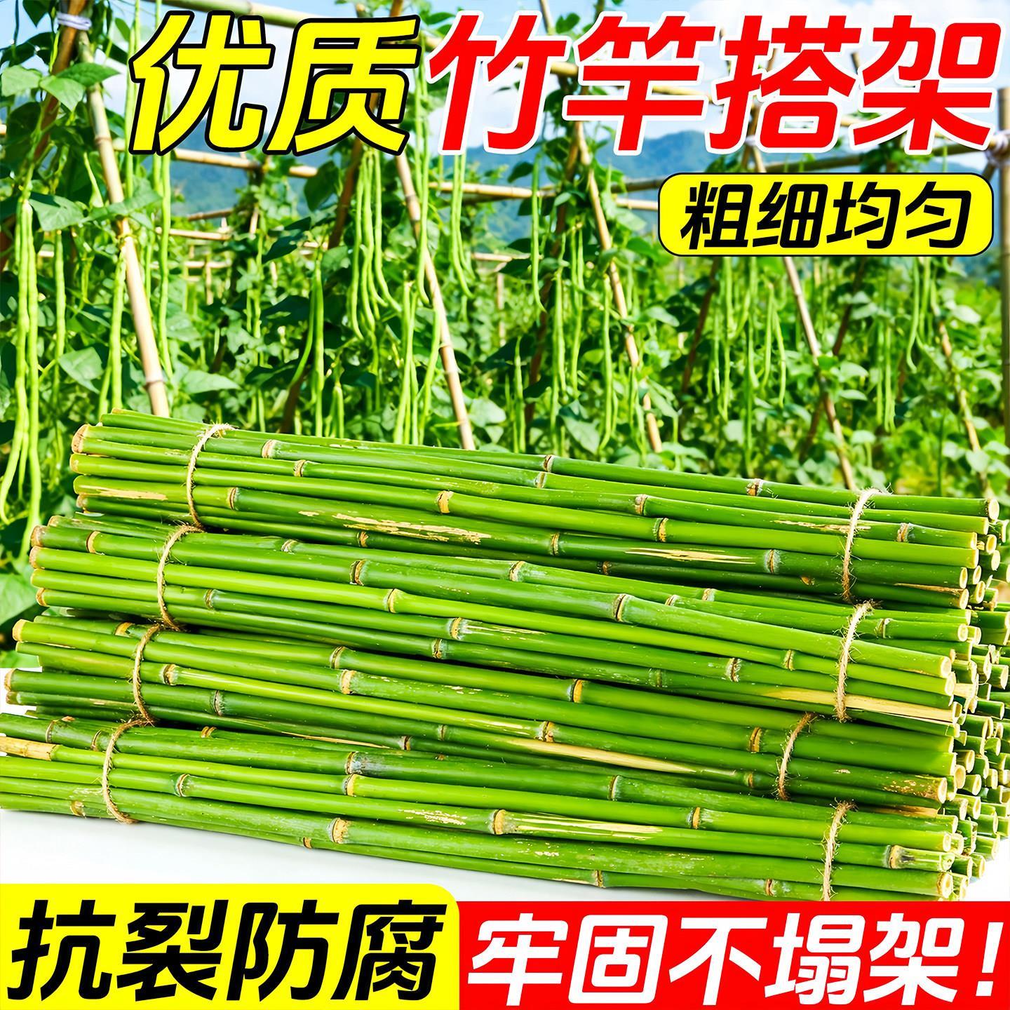 竹子杆竹竿菜园搭架葡萄架黄瓜豆角蔬菜支撑架彩旗杆西红柿爬藤架