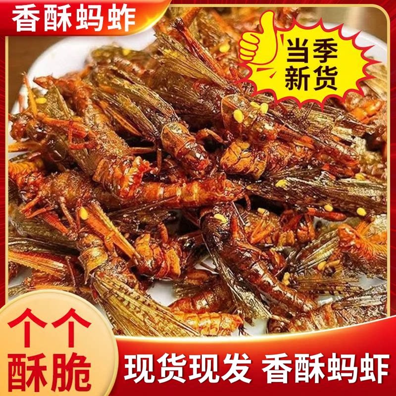 香酥炸蚂蚱夜市美食昆虫小零食