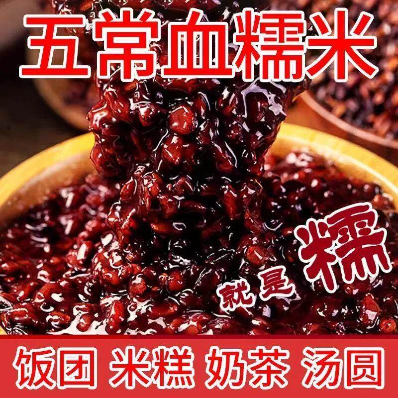 新鲜东北血糯米新米5斤黑糯米批发江米紫米粽子糯米五常糯大米1斤