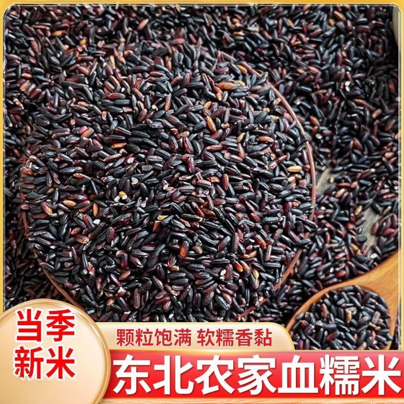 东北血糯米新米5斤黑米农家无染色黑血糯米正宗黑米血糯米商用3斤