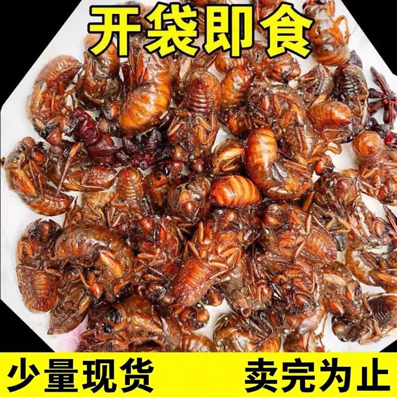香酥炸金蝉知了猴下酒菜山东特产
