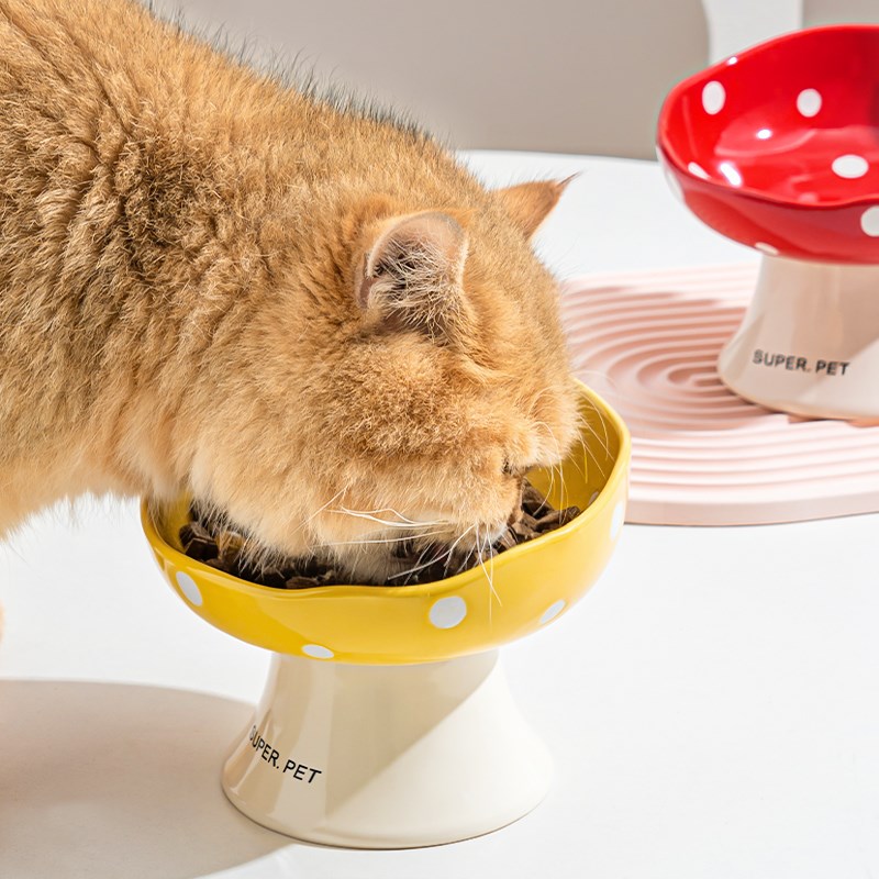 猫碗陶瓷猫粮碗狗碗食盆猫咪饭碗高脚狗狗喝水碗斜口大碗宠物专用